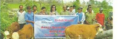 Dokumentasi Pembagian Bibit Sapi Jogjakarta